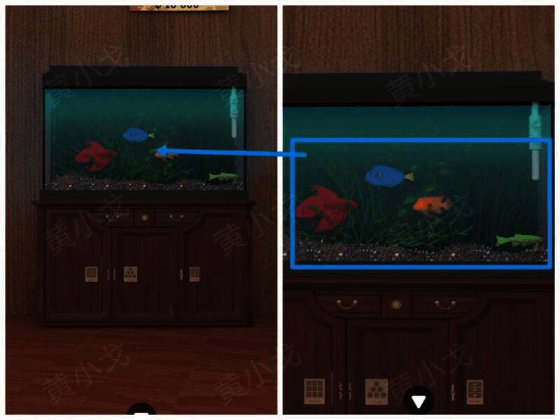 鱼缸及鱼的图
