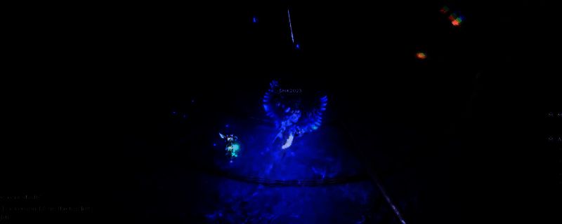 最后纪元游戏相关图片