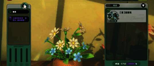 兰的花艺初试花束示例