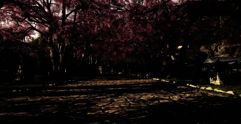 刺客信条影藏身处某区域展示图