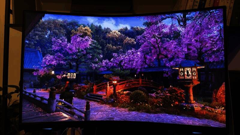 刺客信条影藏身处的细节画面图