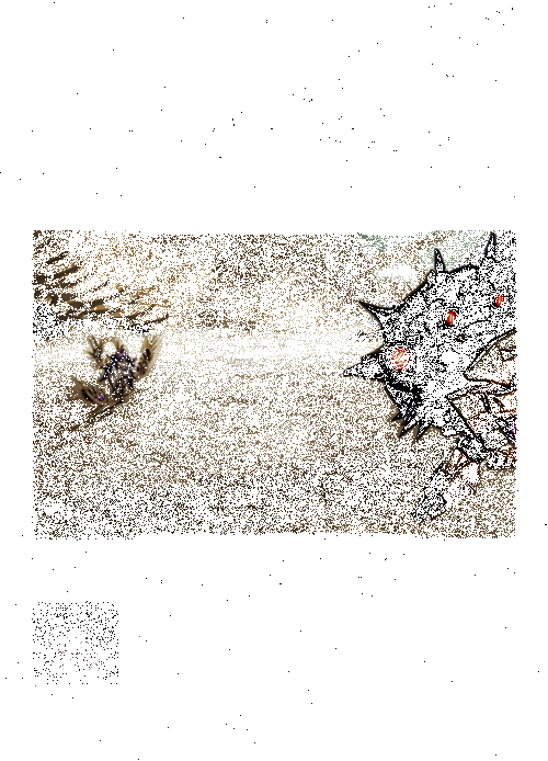 日轮击技能展示动图