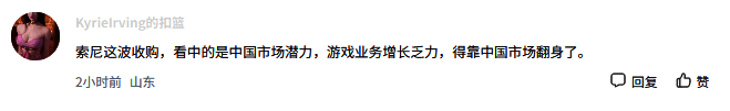 网友对索尼收购及公司改名看法相关图片