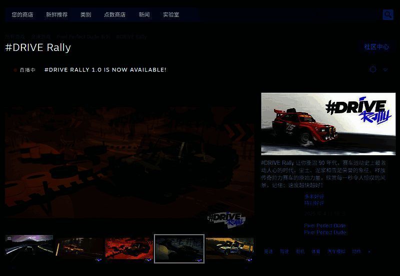 DRIVE Rally相关图片2