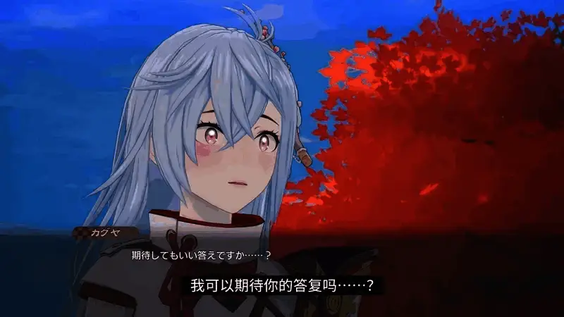 《符文工房：龙之天地》机关师追岚视频截图7