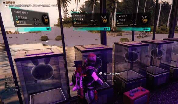 蜂团团收容物与洋葱种植关联图