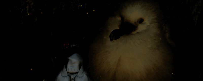 《怪物猎人：荒野》大集会所相关画面