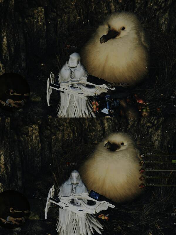 《怪物猎人：荒野》中寻找巨大柔毛秧鸡途中画面4