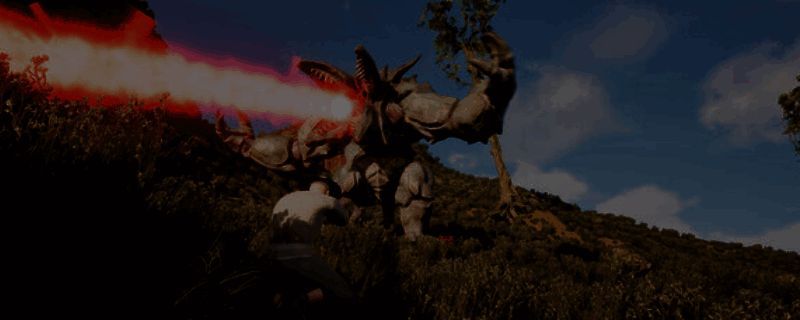 《幸福惊喜后花园》相关图片1