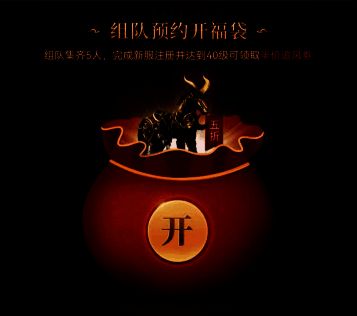 组队新服送福袋活动图片