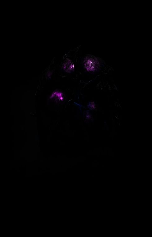 魂碑与裂隙相关画面