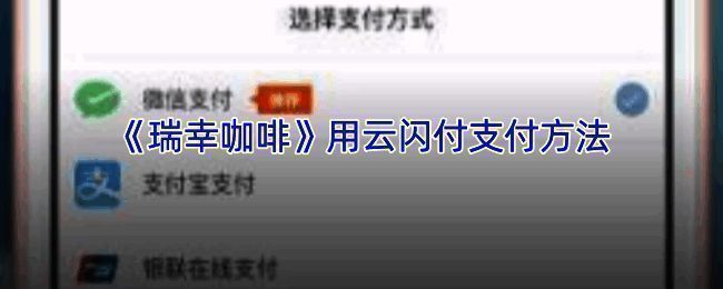 瑞幸咖啡 app 支付设置页面示例图