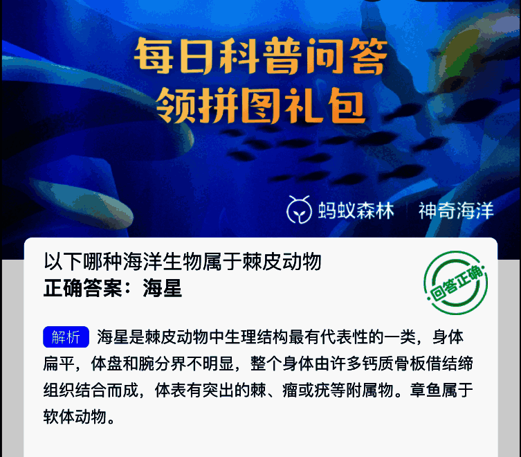 神奇海洋相关图片2