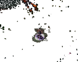 猫掌柜与助战小猫技能展示动图1