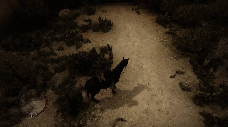 《荒野大镖客:救赎》使用MOD后的画面5