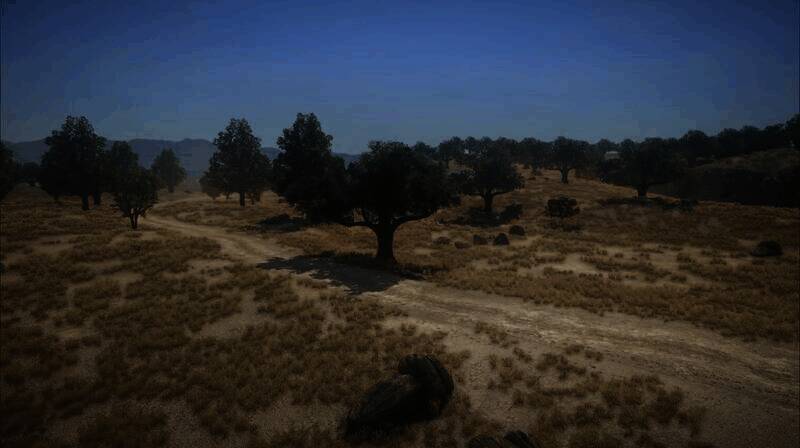 《荒野大镖客:救赎》使用MOD后的画面6