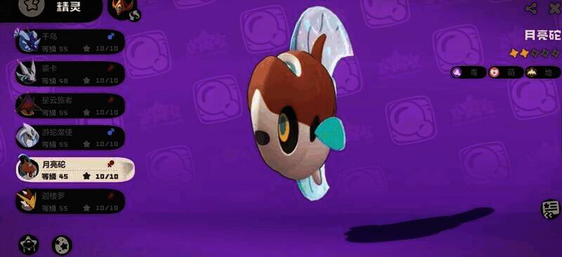 洛克王国刺轮砣种族值展示图片