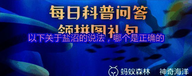 支付宝神奇海洋相关图片1