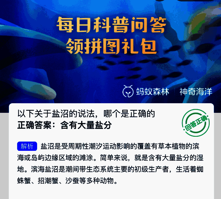 支付宝神奇海洋相关图片2