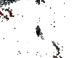 万年竹技能效果动图1