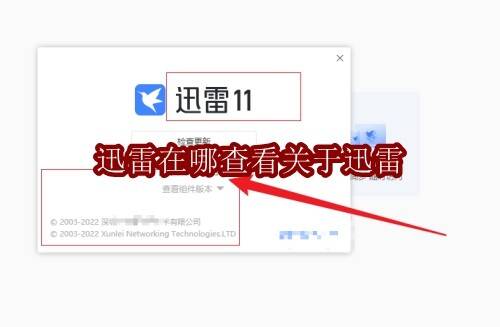 迅雷软件相关配图