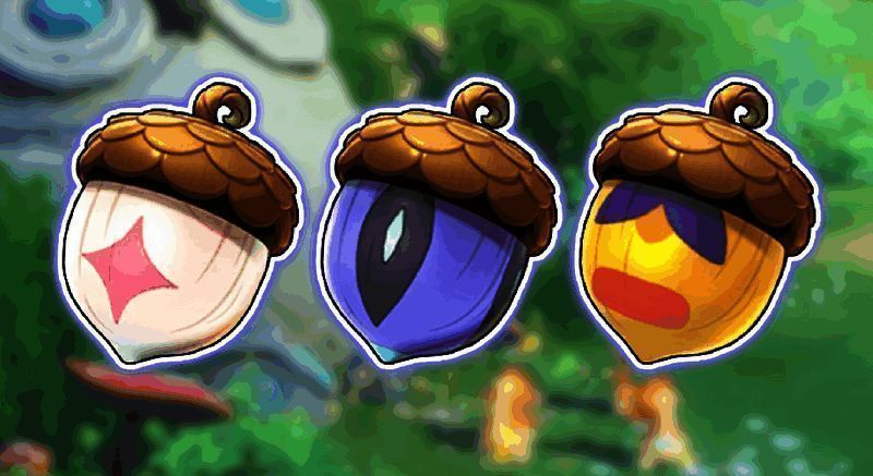 其他特殊果实相关图片