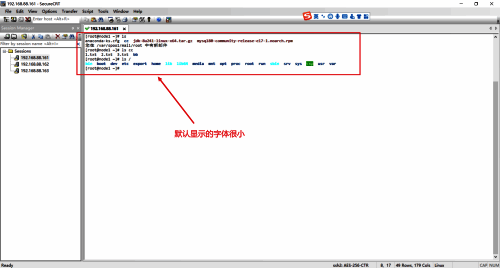 输入指令后默认字体显示图