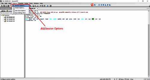 点击Options和Session Options的操作界面图