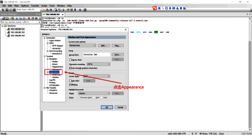 点击Terminal中Appearance的界面图