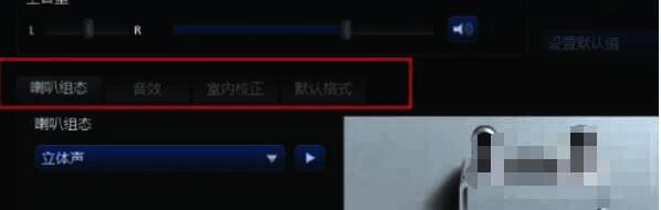 Realtek音频管理器主界面查找选项卡配图