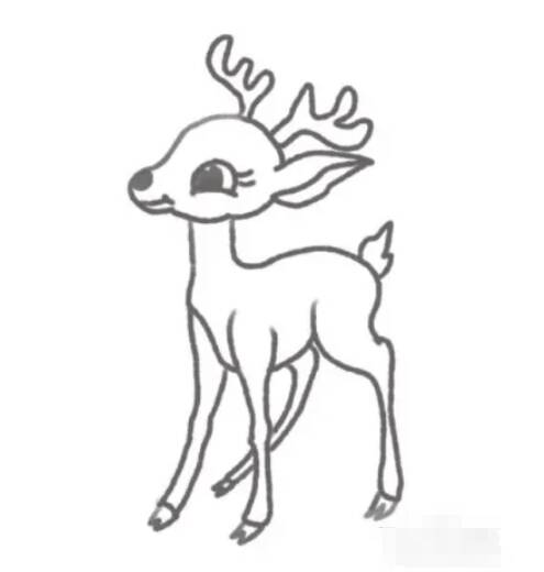 绘制梅花鹿轮廓
