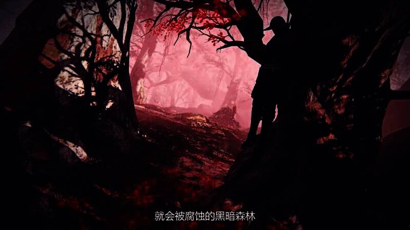 游戏视频画面图5