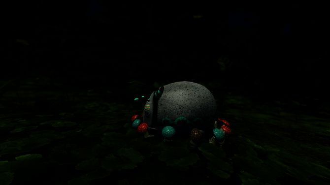 《Forest Floor》相关画面5