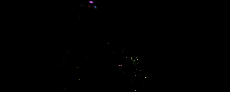 《上古卷轴4：湮灭重制版》游戏相关图片