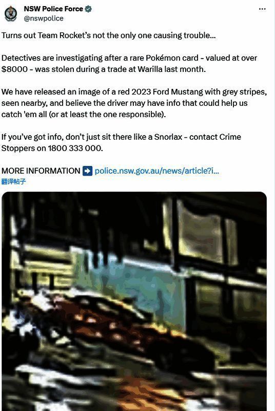 宝可梦集换式卡牌犯罪相关图片