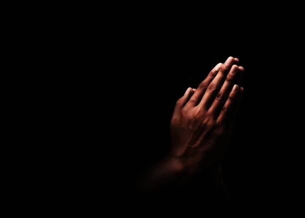 宝可梦第十世代祈祷机制相关图片2