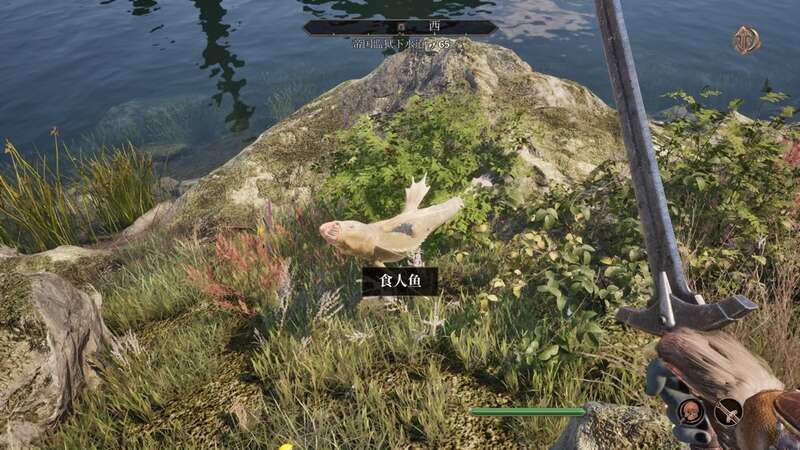 《上古卷轴4：湮灭重制版》游戏画面