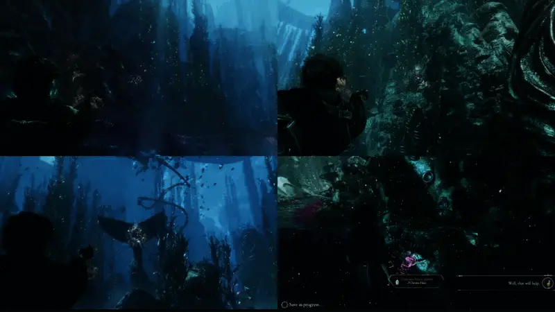 飘流域相关图片1