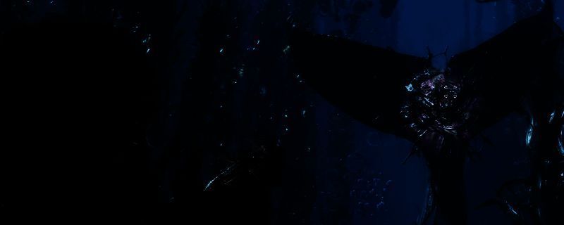 《光与影：33号远征队》相关图片1