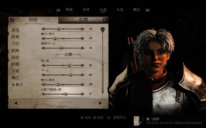 《上古卷轴4:湮灭重制版》捏脸参考图15