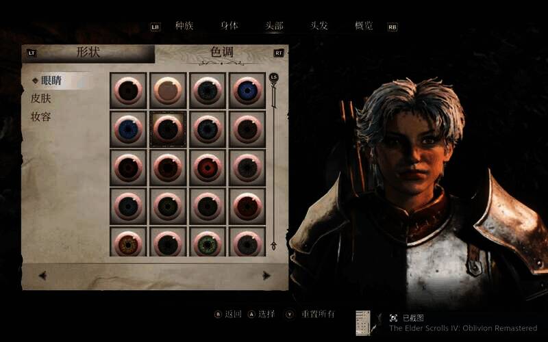 《上古卷轴4:湮灭重制版》捏脸参考图16