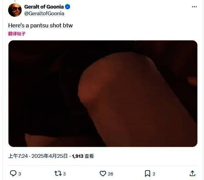 《光与影：33号远征队》相关画面5