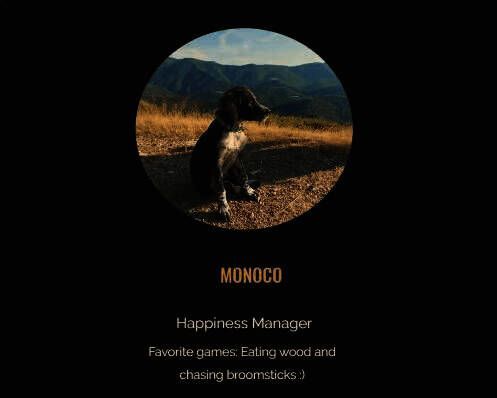 《光与影:33号远征队》相关图片3