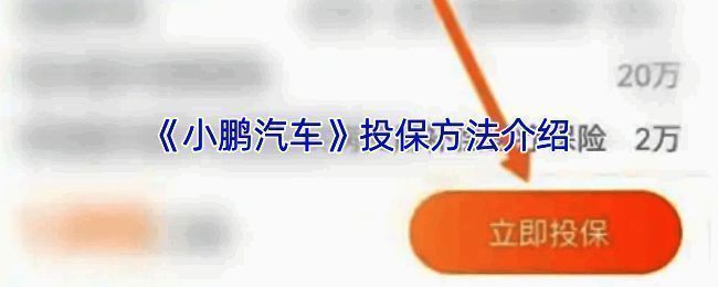 小鹏汽车 APP 保险购买相关界面示例图