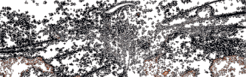 阴阳师百闻牌三周年庆典相关动图