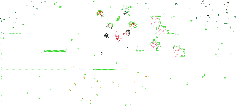 宝可梦大探险美味料理宣传动图
