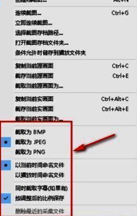 PotPlayer自定义保存文件格式和命名规则的截图