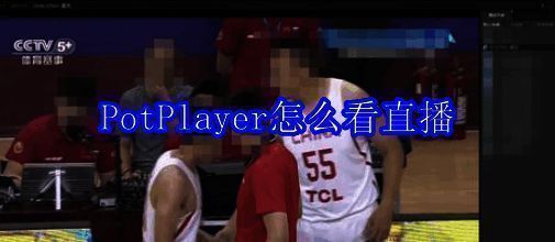 PotPlayer相关界面示例图1