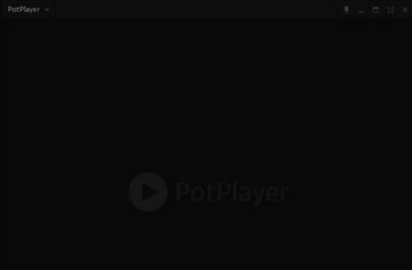 PotPlayer选项设置界面打开图