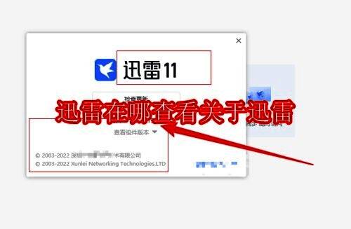 迅雷软件相关图片